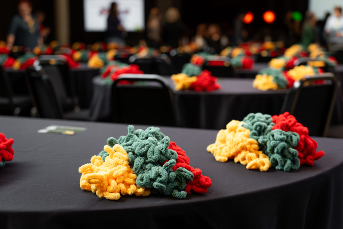 2026 m. &bdquo;Ankstukų&ldquo; tikslas – naujas reanimobilis LSMU Kauno klinikoms